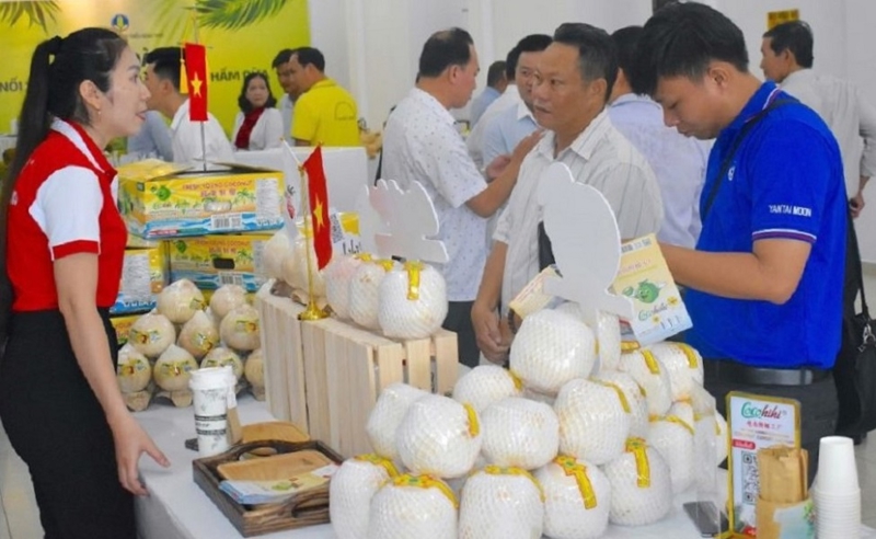 Dừa xanh Việt Nam xuất khẩu cho thị trường Trung Đông Dừa xanh Việt Nam xuất khẩu cho thị trường Trung Đông