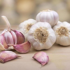 Garlic