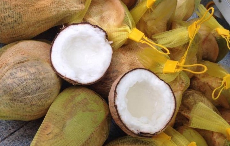 a valuable halal certified coconut exporter partner in your brand journey. a valuable halal certified coconut exporter partner in your brand journey.