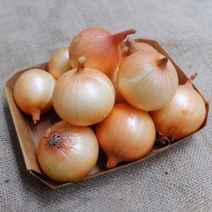 Onion
