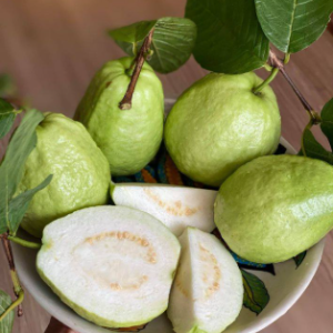 Guava