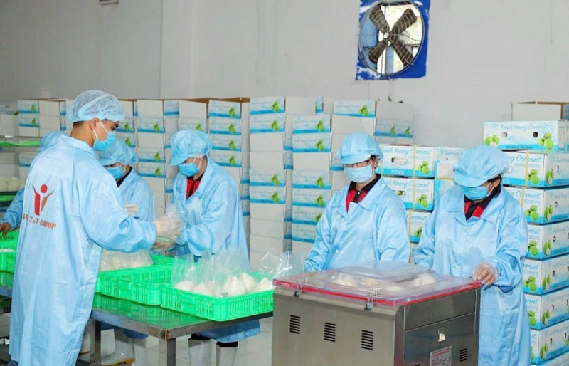 Vietnam Fresh Coconut Supplier a staple that cannot be overlooked.