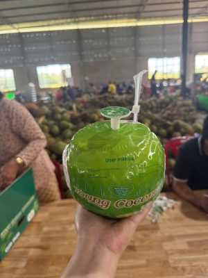 vận chuyển dừa tươi từ Việt Nam đến Trung Đông