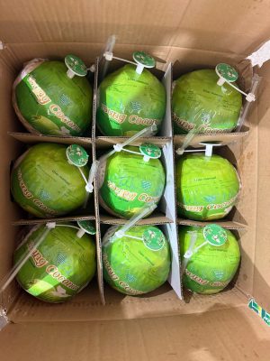 Difference coconut type for export: Green Siam, organic, and processed coconuts