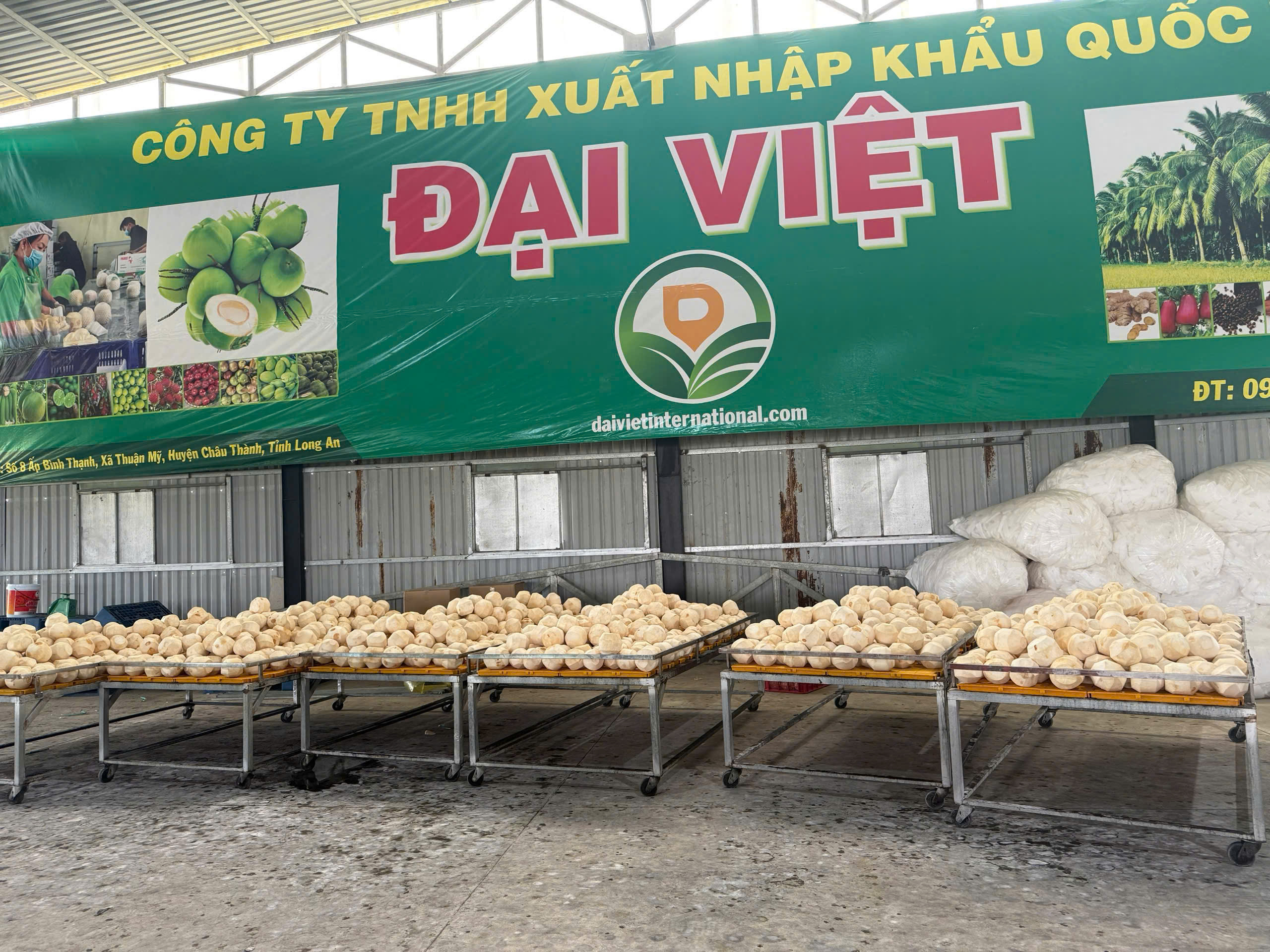 Health benefits from the nutritional value Vietnam coconut
