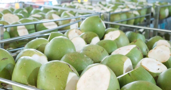 Xu hướng tiêu thụ dừa tại Trung Đông Xu hướng tiêu thụ dừa tại Trung Đông