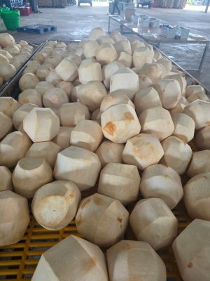 Chuỗi lạnh bảo quản nông sản xuất khẩu chất lượng cao