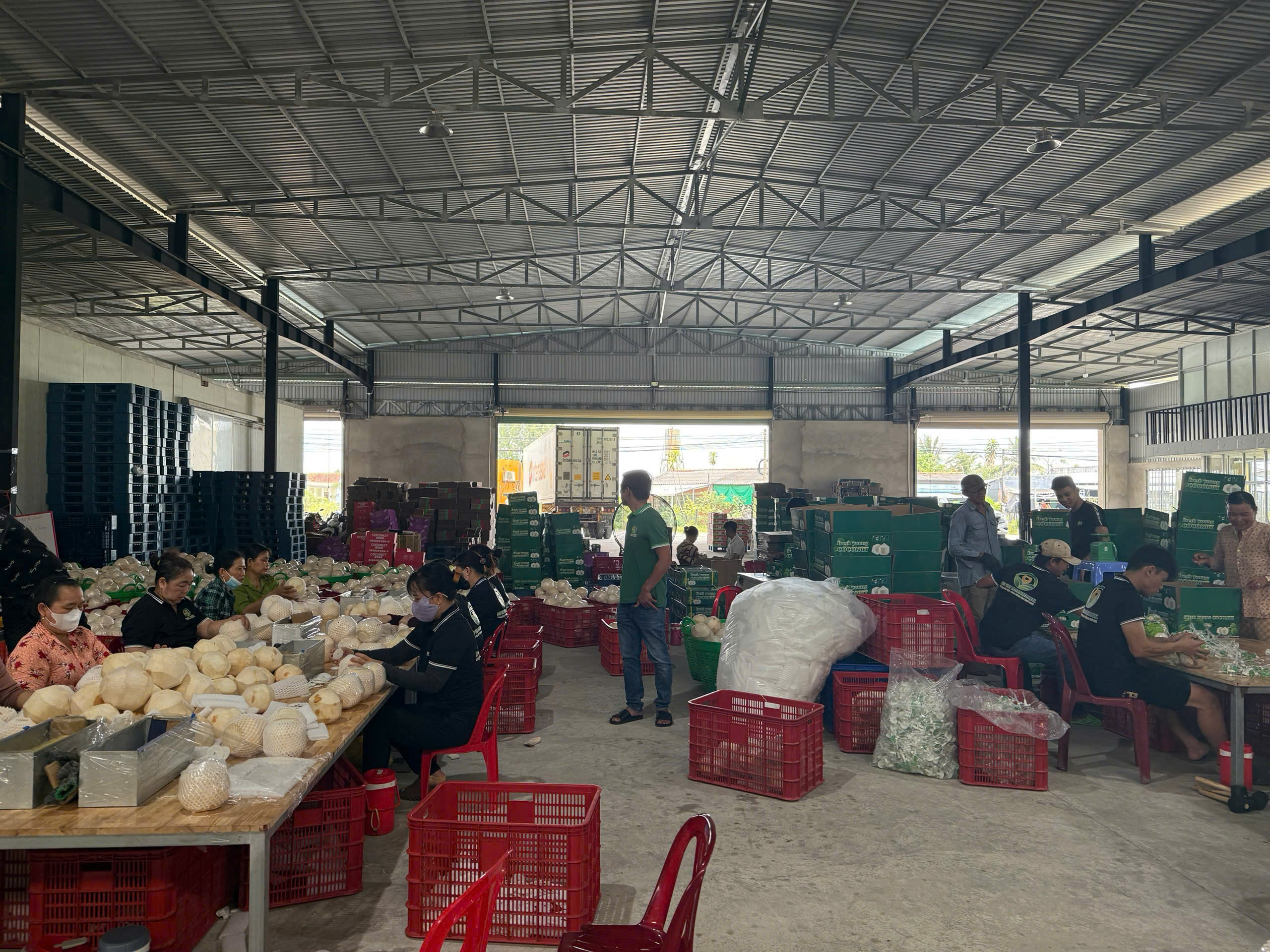 Competitive Advantages of Vietnamese Coconut Oil Producers